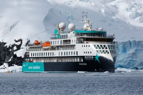 Antarctica Expedition Cruises Explained: Learn Route Details, Iceberg Facts, Wildlife Encounters, Safety Guidelines, and Travel Insights