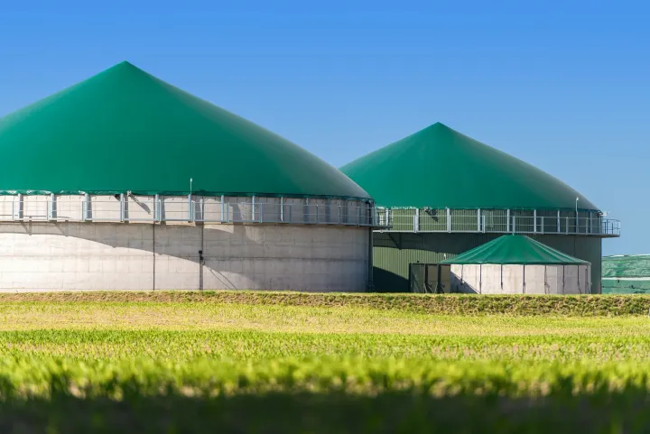 Explore Bioenergy Power Solutions: Detailed Insights, Information, and Helpful Suggestions