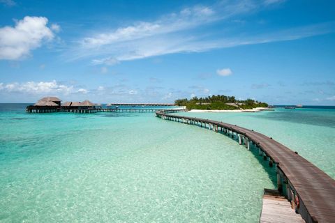 Secret Island Paradises Insights: Facts, Details, and What Makes Them Unique