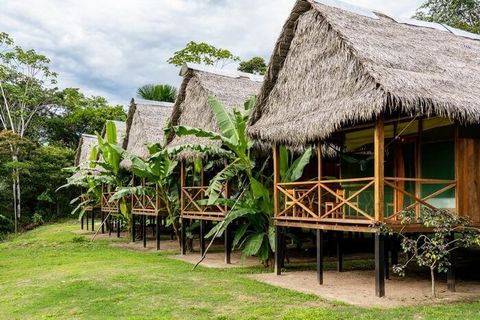 Brazilian Rainforest Lodges Overview: Basics, Facts, Details and Essential Information