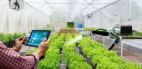 Insights Into Smart Farming Platforms: Basics, Overview, and Modern Farming Knowledge