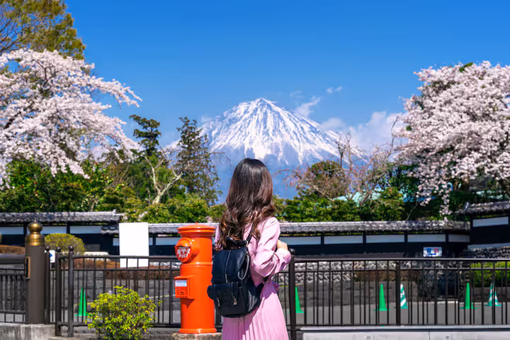 Things to Do in Tokyo: A Guide to Attractions and Cultural Experiences