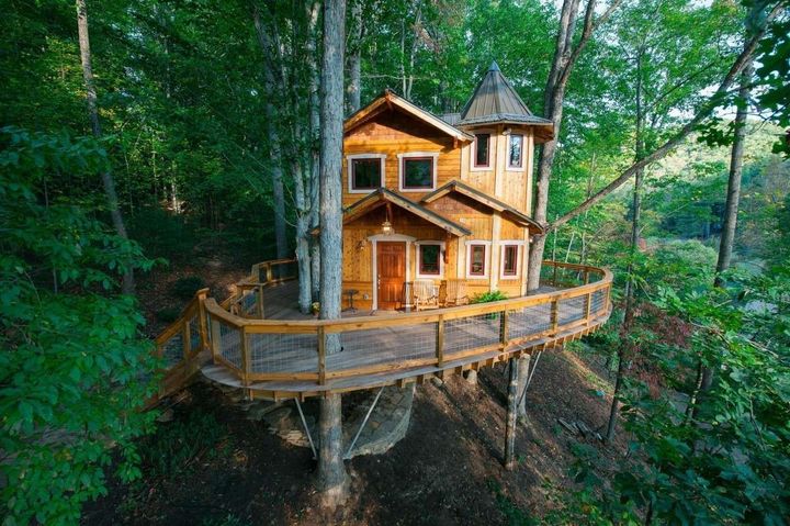 Discover Treehouse Accommodation Rentals: Facts, Planning, and Usage Insights