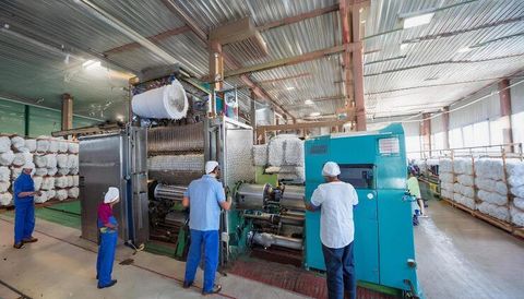 Understanding Industrial Dryers and Their Role in Material Processing