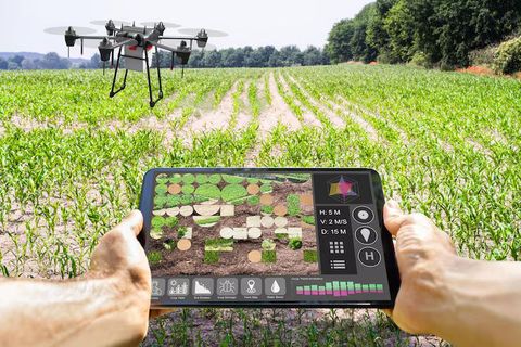 Explore Smart Farming Overview for Technology Types and Agricultural Innovation Guide