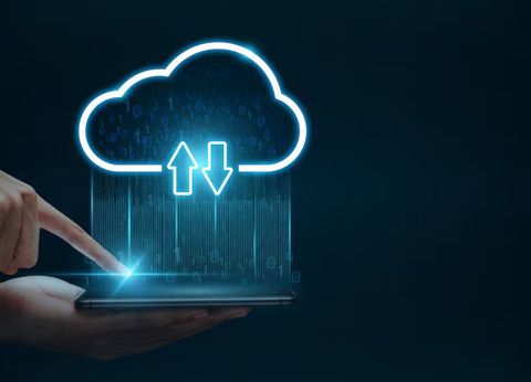 Understanding Cloud Storage Solutions for Data Management Systems