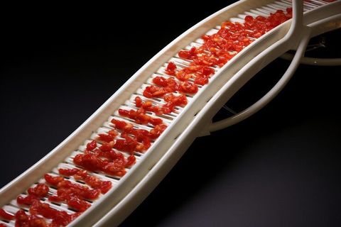 Multiple Myeloma: A Detailed Overview of the Condition and How It Affects the Body