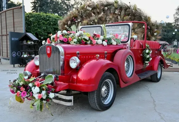 Discover Wedding Car Rentals: Facts, Knowledge & Planning Advice